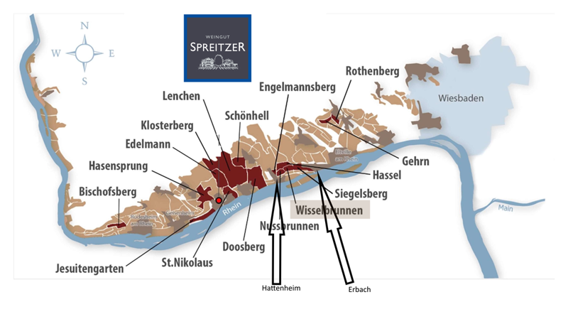 Slávny vinohrad WIsselbrunnen
