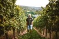 Deutschherren Hof / Riesling Grosses Gewächs