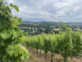 Deutschherren Hof / Riesling Sekt Brut