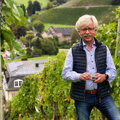 Erben von Beulwitz / Riesling Gutswein, suché