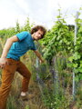 Hofgut Falkenstein / Riesling Niedermennig Herrenberg Spätlese, polosuché
