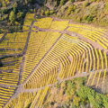 Kilian Franzen / Riesling Bremmer Calmont, suché