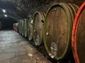 Graf Neipperg VDP / Schlossberg Lemberger Grosses Gewächs (Frankovka modrá), suché 