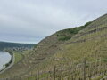 Knebel VDP / Riesling Gutswein, suché