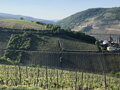 Kruger Rumf VDP / Riesling Bingerbrücker Abtei, suché