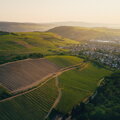 Kruger Rumpf VDP / Riesling Schiefer, suché