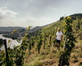 Peter Lauer VDP / Crémant Saar Riesling Brût