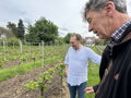 Josef Spreitzer / Riesling Josef Spreitzer