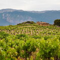 Gómez Cruzado / Rioja Honorable