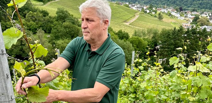 Prečo sú vína zo Schloss Saarstein špecifické a jedinečné?
