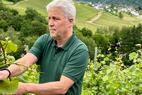 Prečo sú vína zo Schloss Saarstein špecifické a jedinečné?